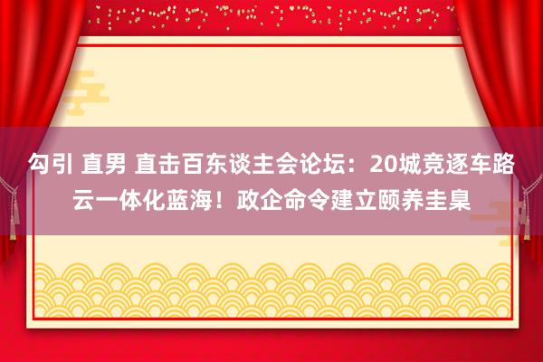 勾引 直男 直击百东谈主会论坛：20城竞逐车路云一体化蓝海！政企命令建立颐养圭臬