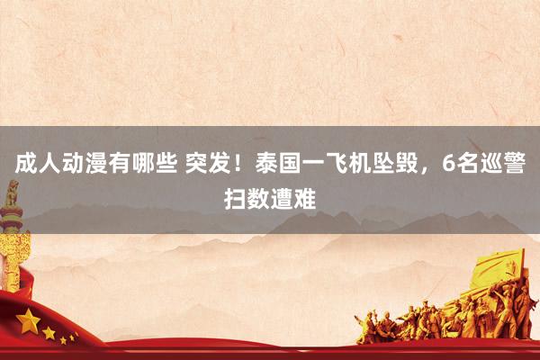成人动漫有哪些 突发！泰国一飞机坠毁，6名巡警扫数遭难